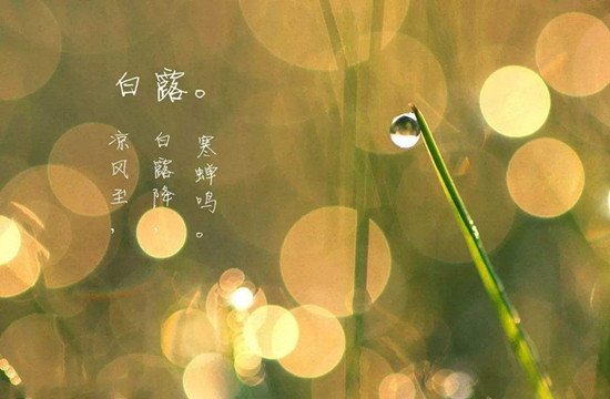 12_副本.jpg